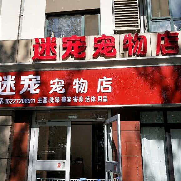 迷宠宠物店:沧州市运河区阿尔卡迪亚附近