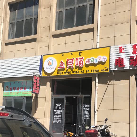 一只喵宠物生活馆(NO:001店):呼和浩特市玉泉区