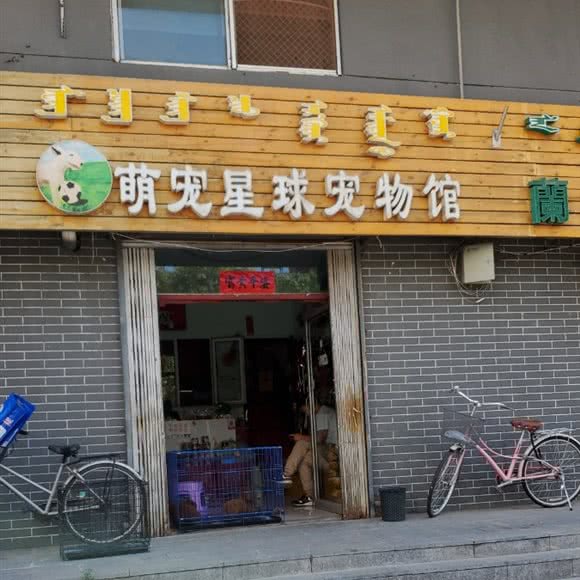 萌宠星球:呼和浩特市玉泉区