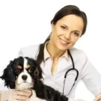 华歧动物诊所:呼和浩特市玉泉区