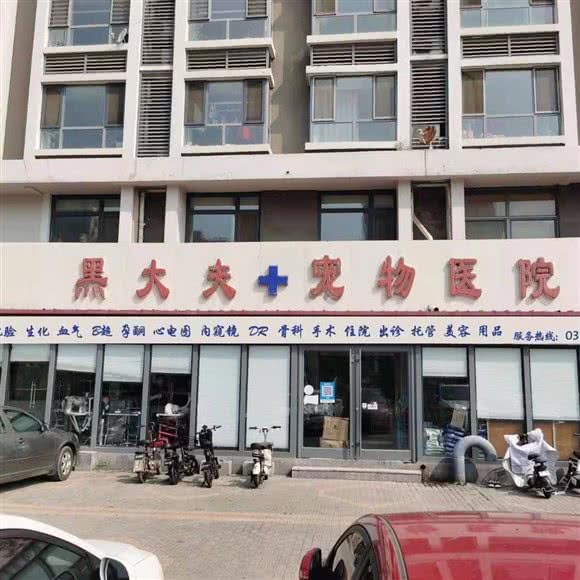 福贝恩黑大夫宠物医院(阿卡分院):沧州市运河区阿尔卡迪亚附近