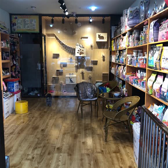 利宠宠物:呼和浩特市赛罕区