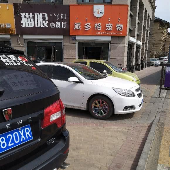 派多格宠物(中海蓝湾店):呼和浩特市赛罕区