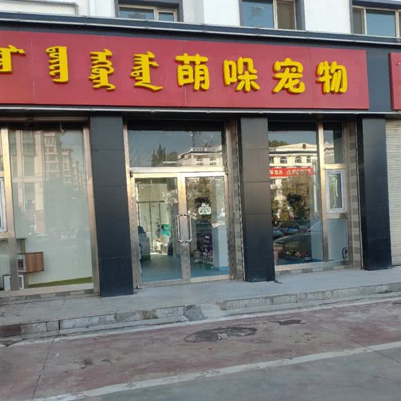 萌哚宠物:呼和浩特市赛罕区