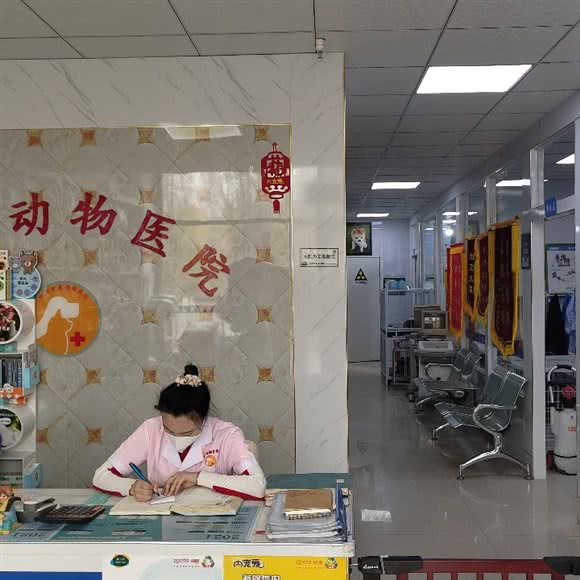 爱康动物医院:呼和浩特市赛罕区