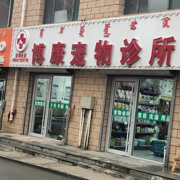 博康宠物诊所:呼和浩特市土默特左旗