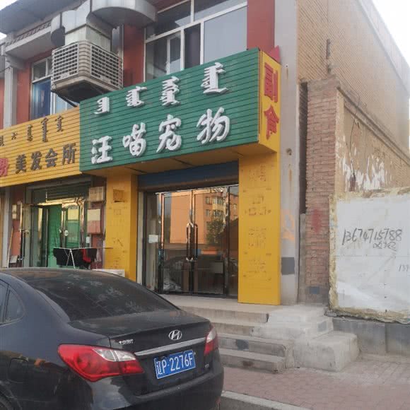 汪喵宠物:呼和浩特市托克托县