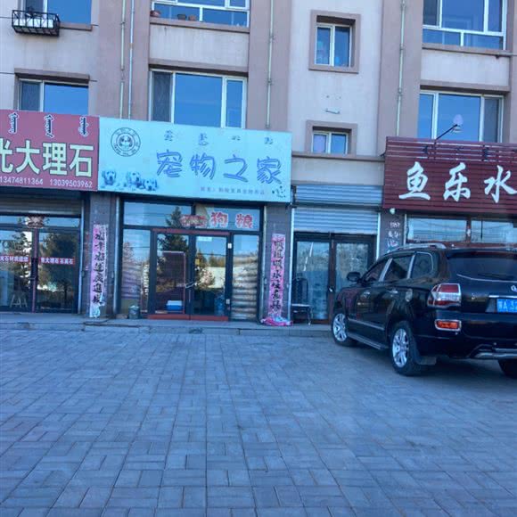 宠物之家(健康西街店):呼和浩特市武川县