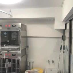 包头多乐吉宠物医院:包头市东河区