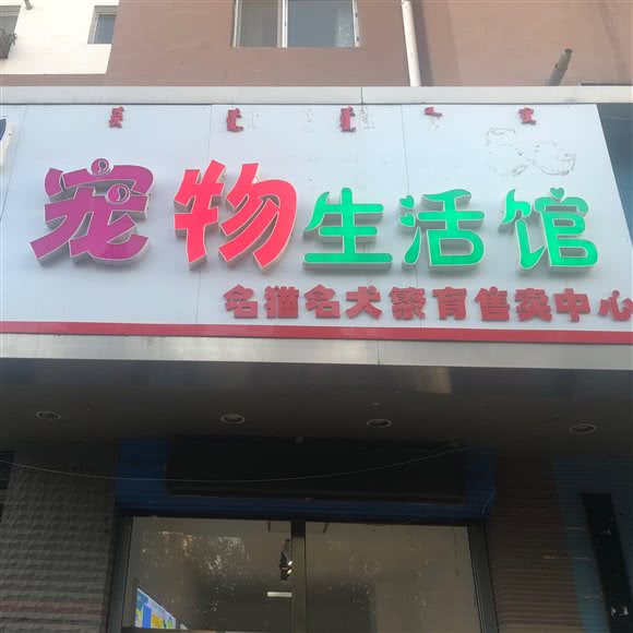 喵小它宠物生活馆:包头市昆都仑区