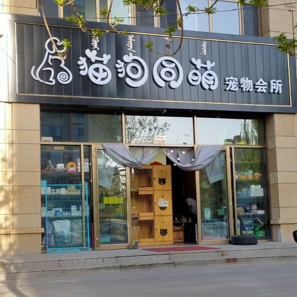 猫狗同萌宠物会所:包头市昆都仑区