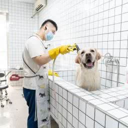 宠爱有佳PET:廊坊市安次区西小区附近