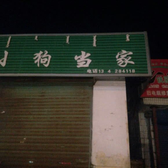 小狗当家:包头市土默特右旗