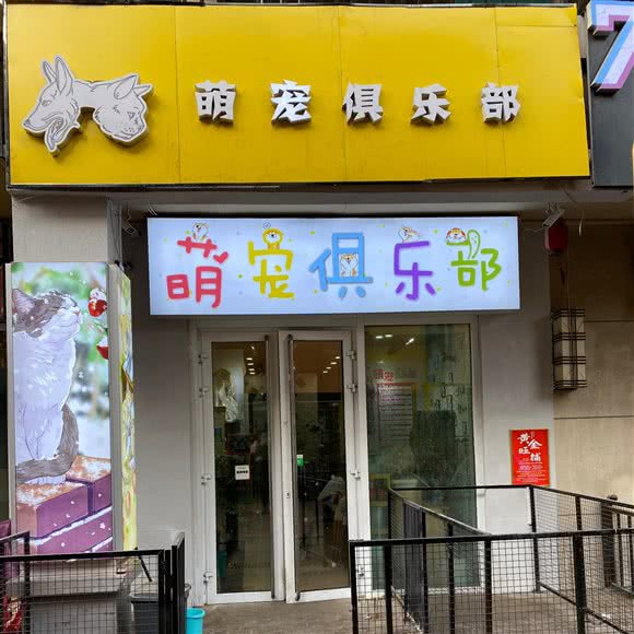 萌宠俱乐部(万达店):乌海市海勃湾区