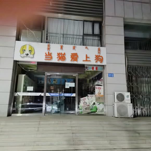 当猫爱上狗:乌海市海勃湾区