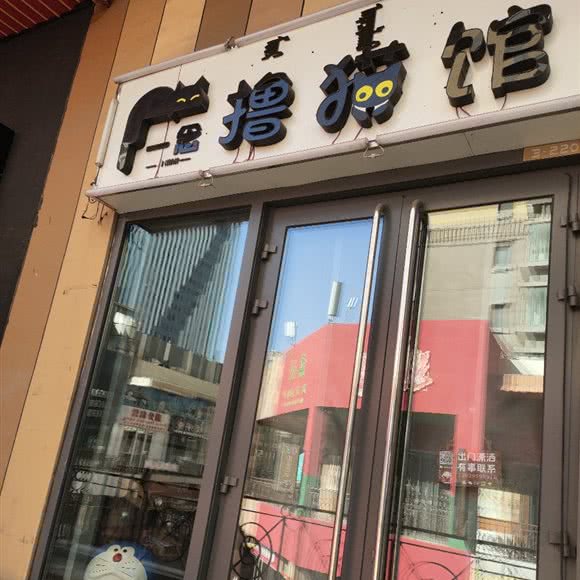 一念撸猫馆:乌海市海勃湾区