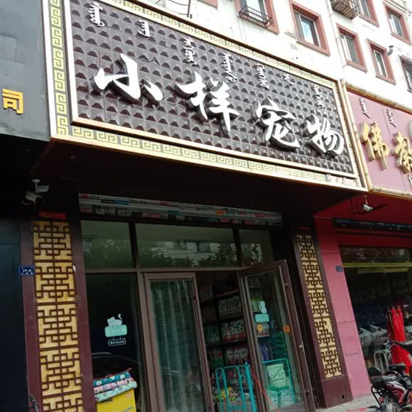 小样宠物:赤峰市红山区