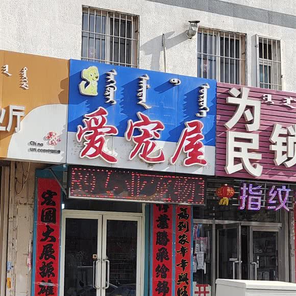 爱宠屋:赤峰市松山区