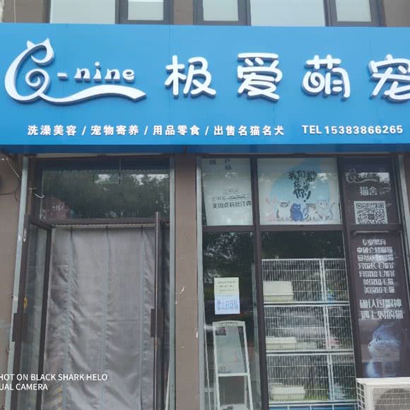 G·nine极爱宠物工作室:廊坊市安次区永华明珠附近