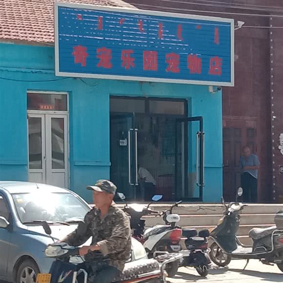 奇宠乐园宠物店:赤峰市阿鲁科尔沁旗