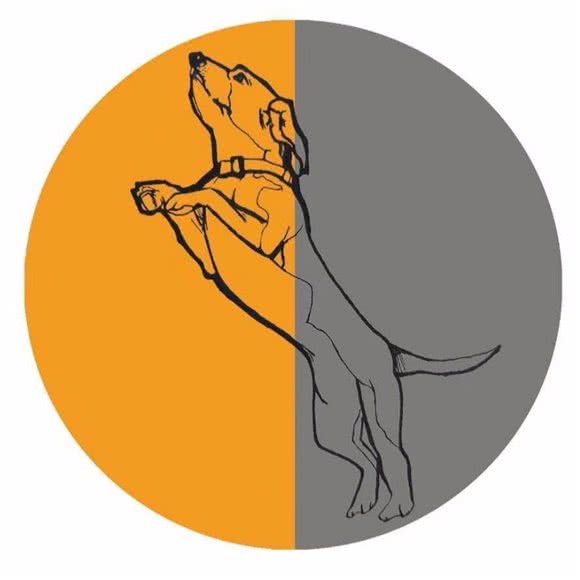 小狗狂奔宠物小院:廊坊市安次区永华明珠附近