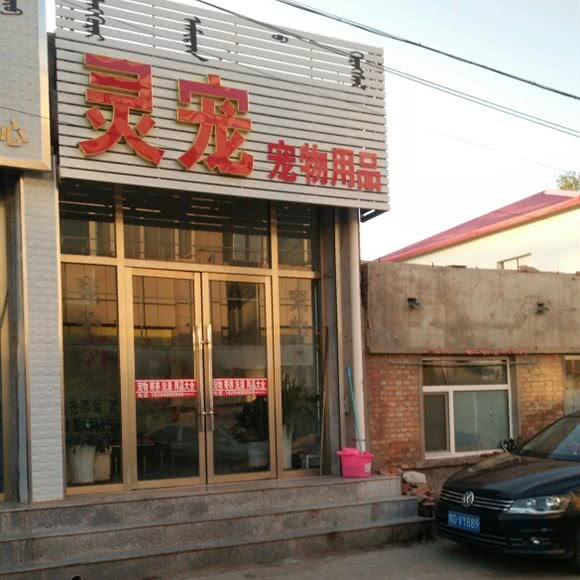 灵宠宠物用品:赤峰市巴林左旗