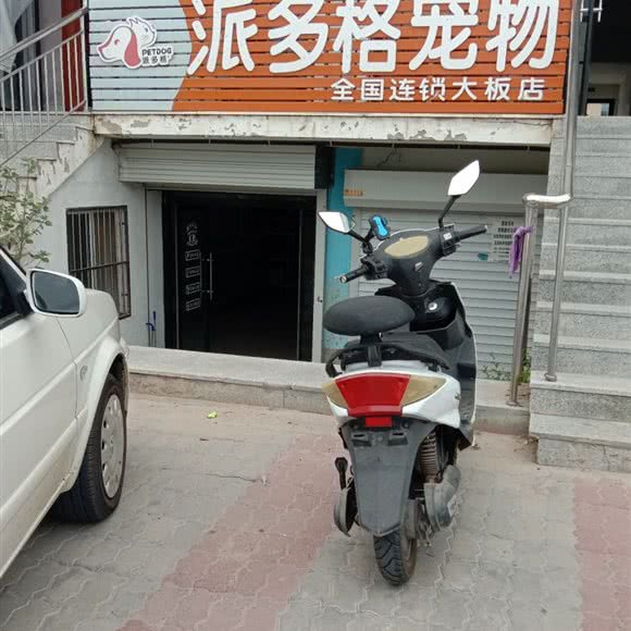 派多格宠物(大板店):赤峰市巴林右旗