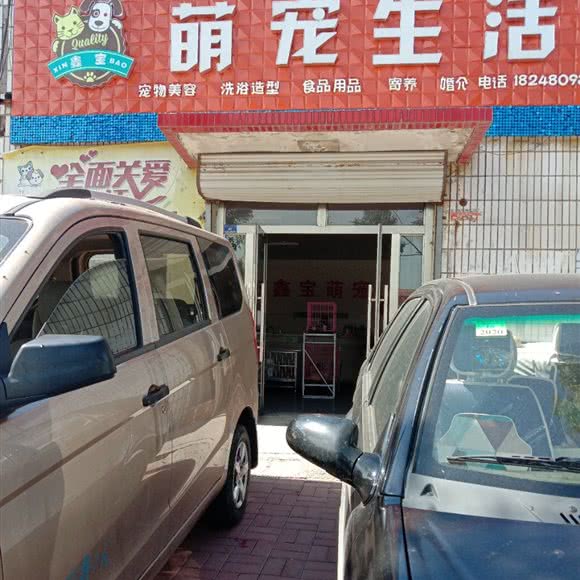 鑫宝萌宠生活馆:赤峰市林西县