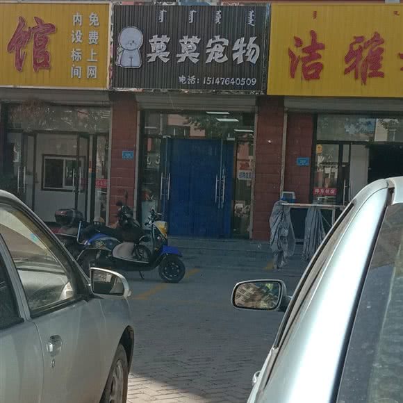 莫莫宠物:赤峰市翁牛特旗