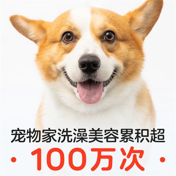 宠物家(华贸城店):北京城区朝阳区北苑家园附近