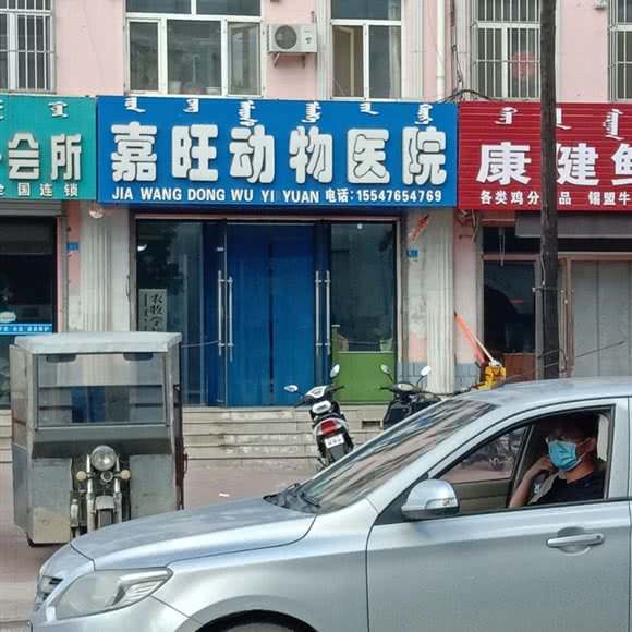 嘉旺动物医院:赤峰市宁城县