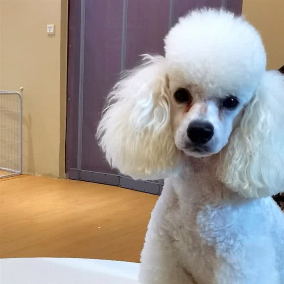 汪物生长:通辽市科尔沁区