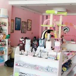 米奇屋宠物乐园:通辽市科尔沁区