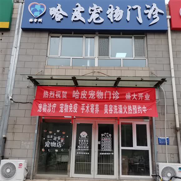 哈皮宠物诊所:廊坊市安次区永华明珠附近