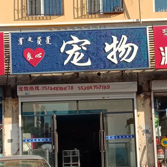 良心宠物:通辽市科尔沁区