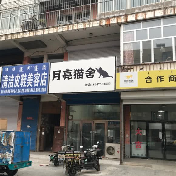 月亮猫舍:通辽市科尔沁区