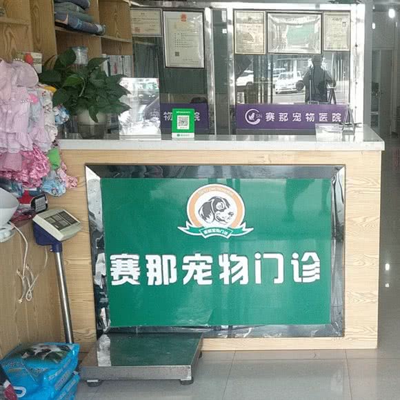 赛那宠物门诊:通辽市科尔沁区