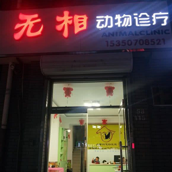 无相动物医院:廊坊市安次区永华明珠附近