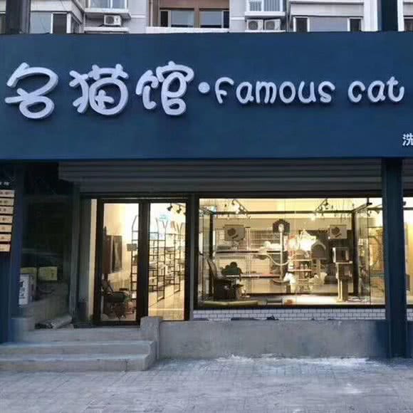 名猫馆宠物店:廊坊市广阳区步行街附近