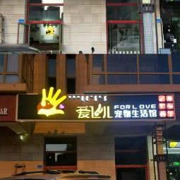 爱飞儿宠物生活馆:鄂尔多斯市东胜区