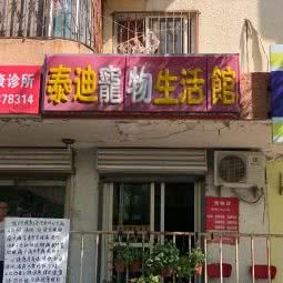 泰迪宠物生活馆:北京城区朝阳区北苑家园附近