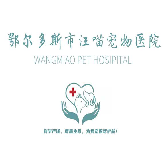 汪喵宠物医院:鄂尔多斯市东胜区