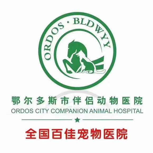 伴侣动物医院:鄂尔多斯市东胜区