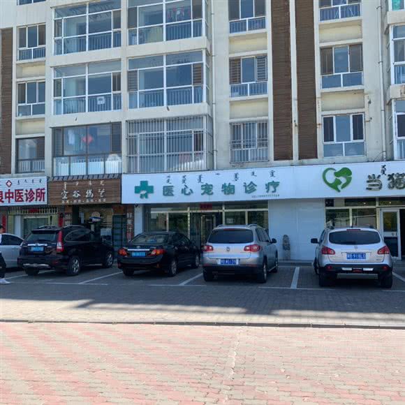 医心宠物诊疗:鄂尔多斯市达拉特旗