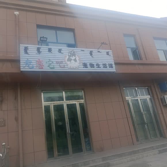 宠恋它吧宠物生活馆:鄂尔多斯市准格尔旗