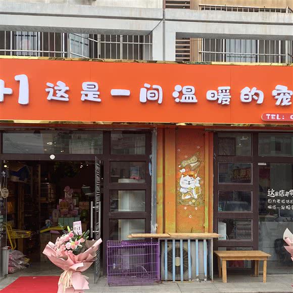 1+1宠物生活馆:廊坊市广阳区步行街附近