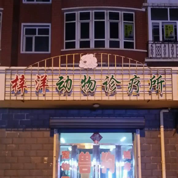 洋梓动物诊所:呼伦贝尔市扎赉诺尔区