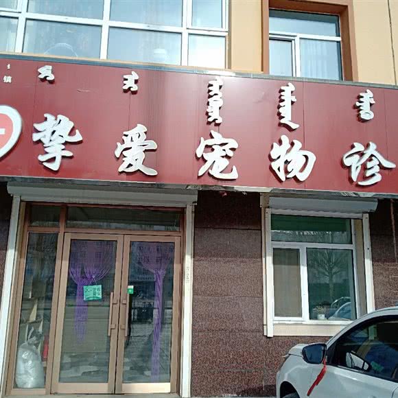 挚爱宠物诊所:呼伦贝尔市莫力达瓦达斡尔族自治旗