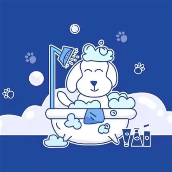 胖琪琪宠物:北京城区朝阳区北苑家园附近