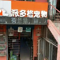 派多格宠物店:呼伦贝尔市牙克石市
